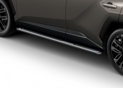 Šoniniai laipteliai