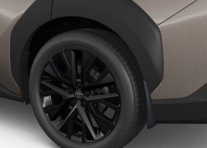 Purvasaugiai (4 vnt.)