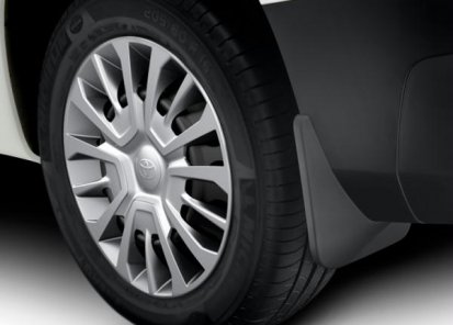 Purvasaugiai galiniai