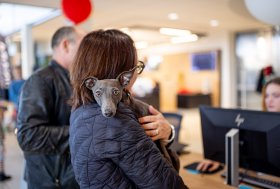 Bandomųjų važiavimų dienos