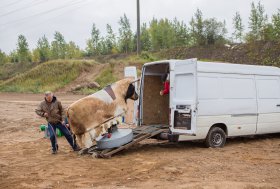 BEKELĖS FIESTA 2016