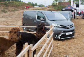BEKELĖS FIESTA 2016
