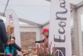 BEKELĖS FIESTA 2016