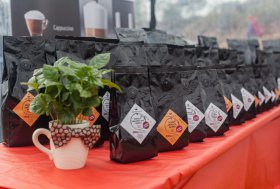 BEKELĖS FIESTA 2016
