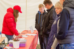 BEKELĖS FIESTA 2016