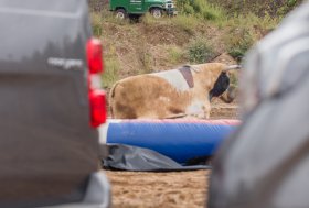 BEKELĖS FIESTA 2016