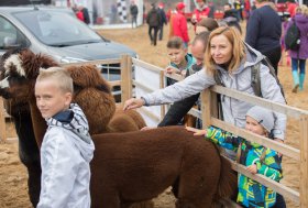 BEKELĖS FIESTA 2016