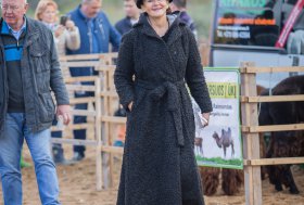 BEKELĖS FIESTA 2016
