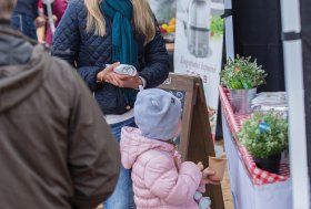 BEKELĖS FIESTA 2016