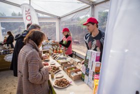 BEKELĖS FIESTA 2016