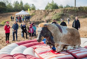 BEKELĖS FIESTA 2016