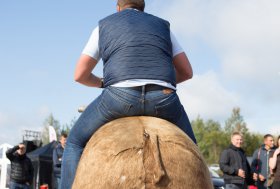 BEKELĖS FIESTA 2016