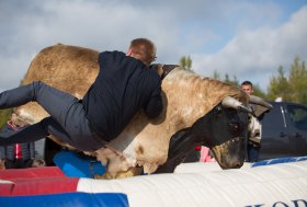 BEKELĖS FIESTA 2016