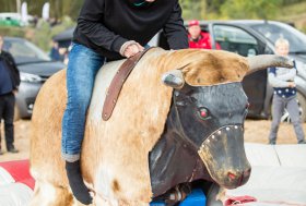 BEKELĖS FIESTA 2016