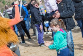 BEKELĖS FIESTA 2016